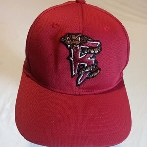 Wisconsin Timber Rattlers Minor League Baseball Youth Adjustable Hat Red